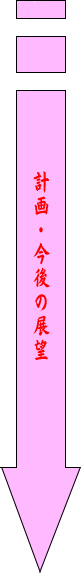 計画・今後の展望